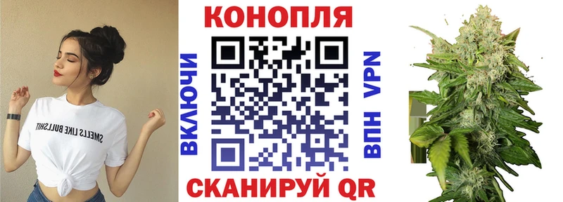 Купить где  Себеж  Конопля White Widow 